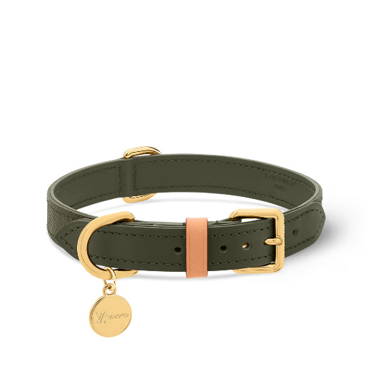 ② Louis Vuitton｜ドッグ カラー MM
